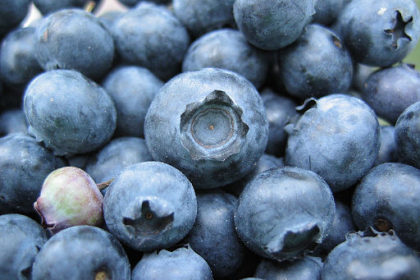 Blueberries