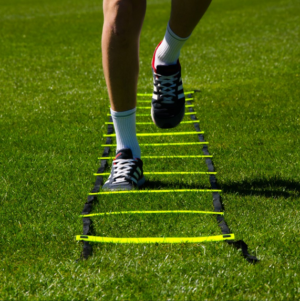 Net World Sports agility ladder